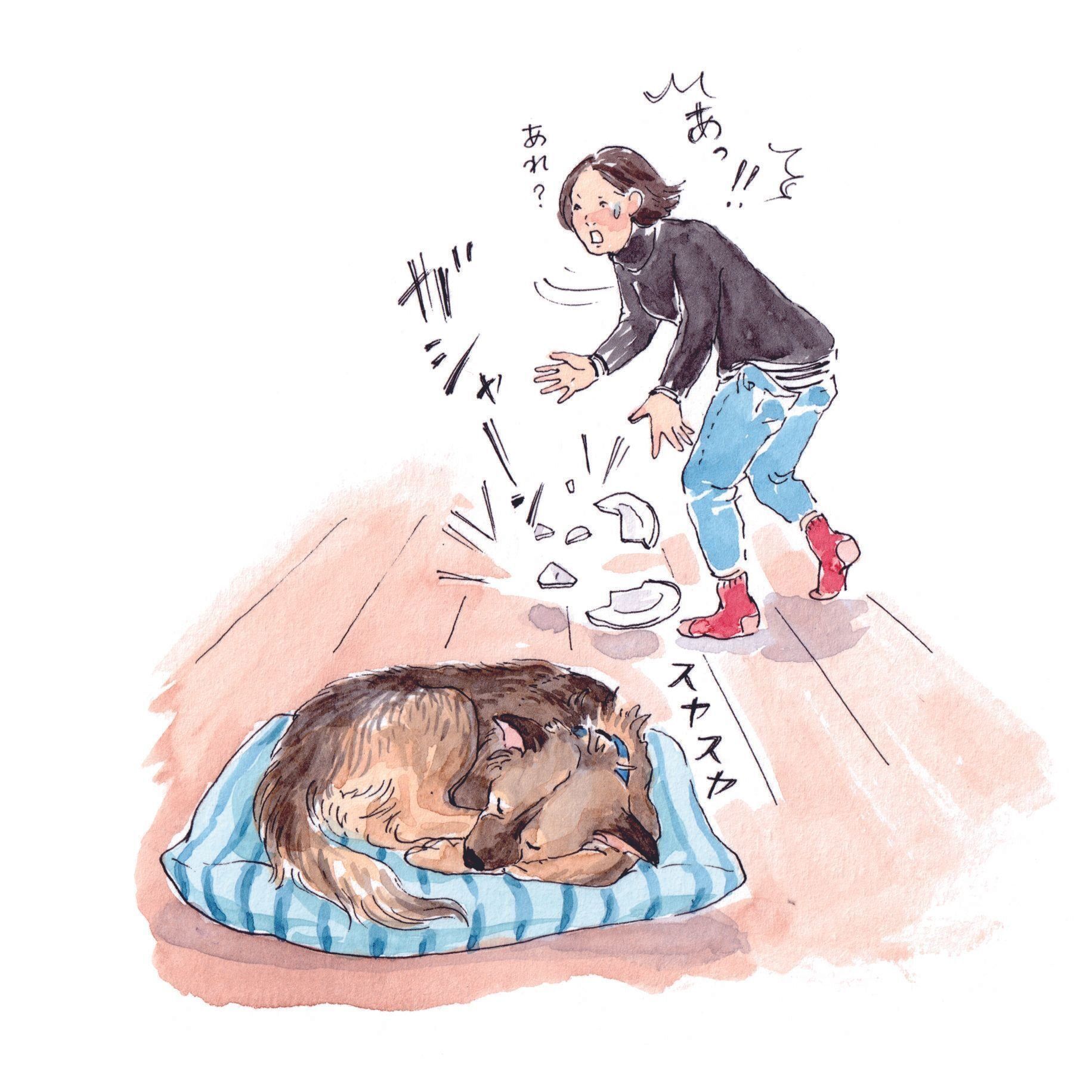 イラスト／フジマツミキ