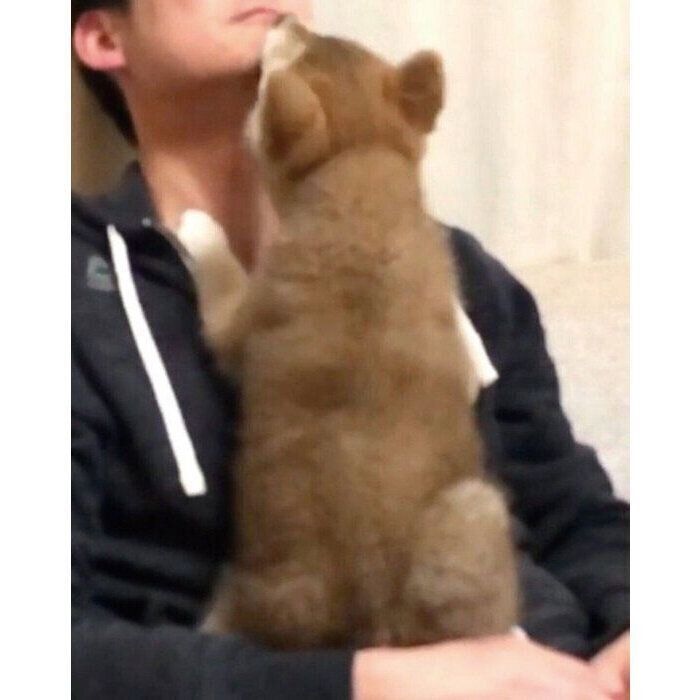 生後3カ月のころの会長さん