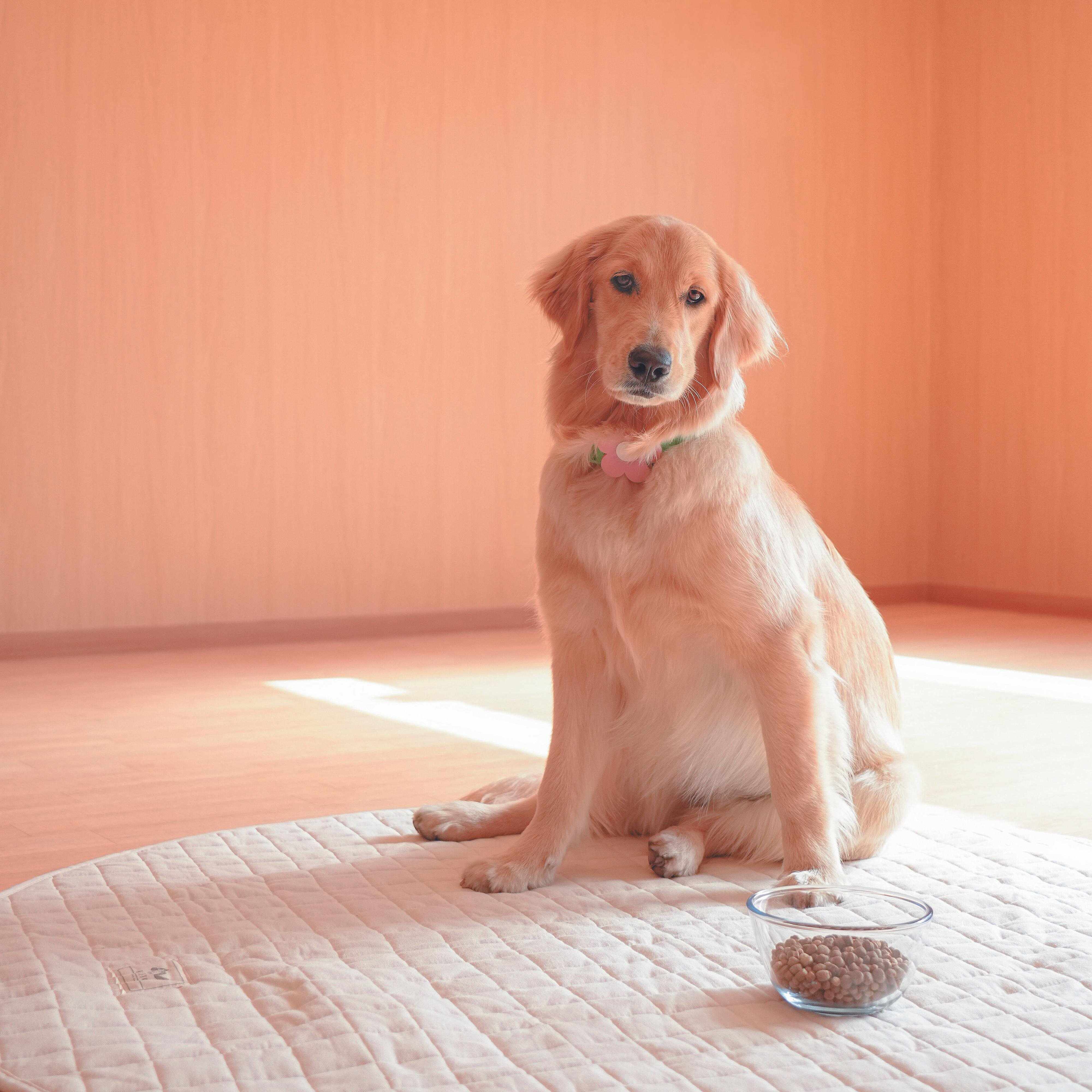 撮影／殿村忠博