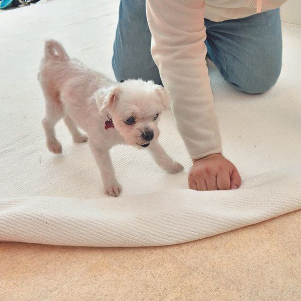 撮影／佐藤正之