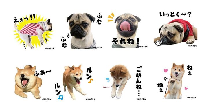 いぬ・ねこのきもちアプリ なでなでスタンプ企画