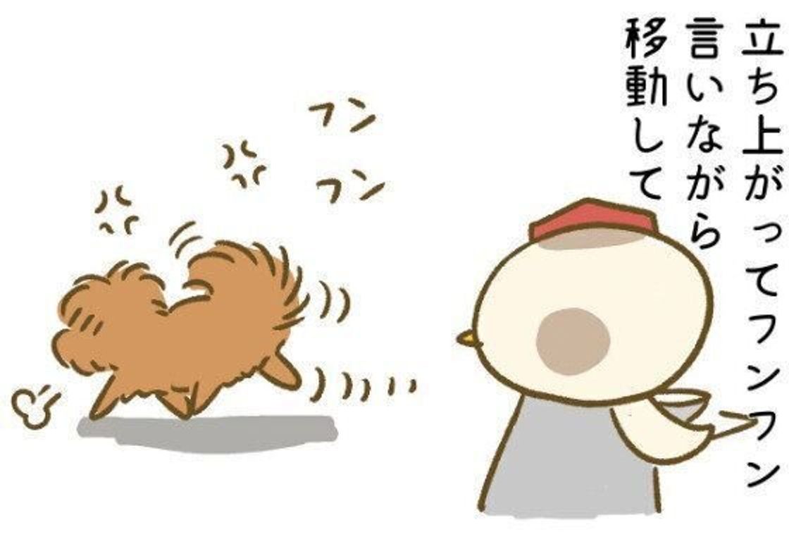 人間のように感情を露わに出す犬 連載 こぐま犬てんすけ Vol 161 いぬのきもちweb Magazine 人間のように感情を露わに出す犬 連載 こぐま犬てんすけ Vol 161 いぬのきもちweb Magazine