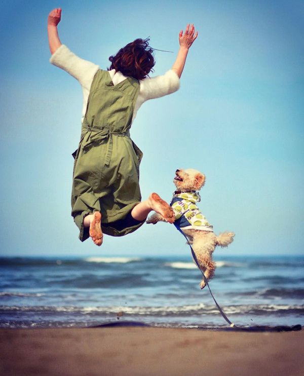 跳躍力がすごいトイ・プードル