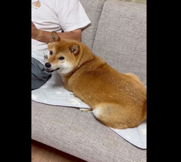 「おやつ」に反応するあさむらさん