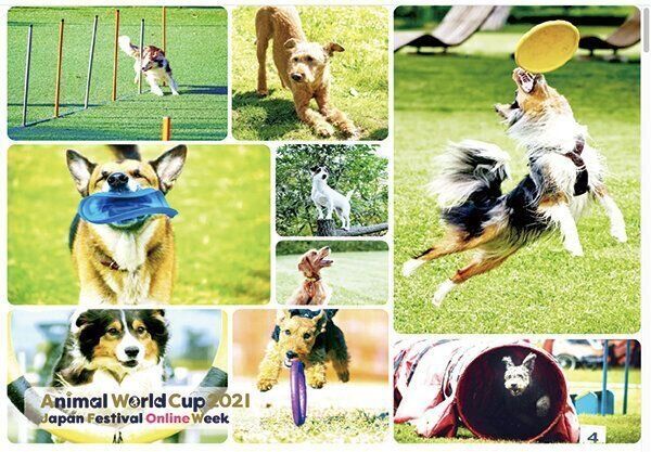 『Animal World Cup 2021 Japan Festival Online Week』