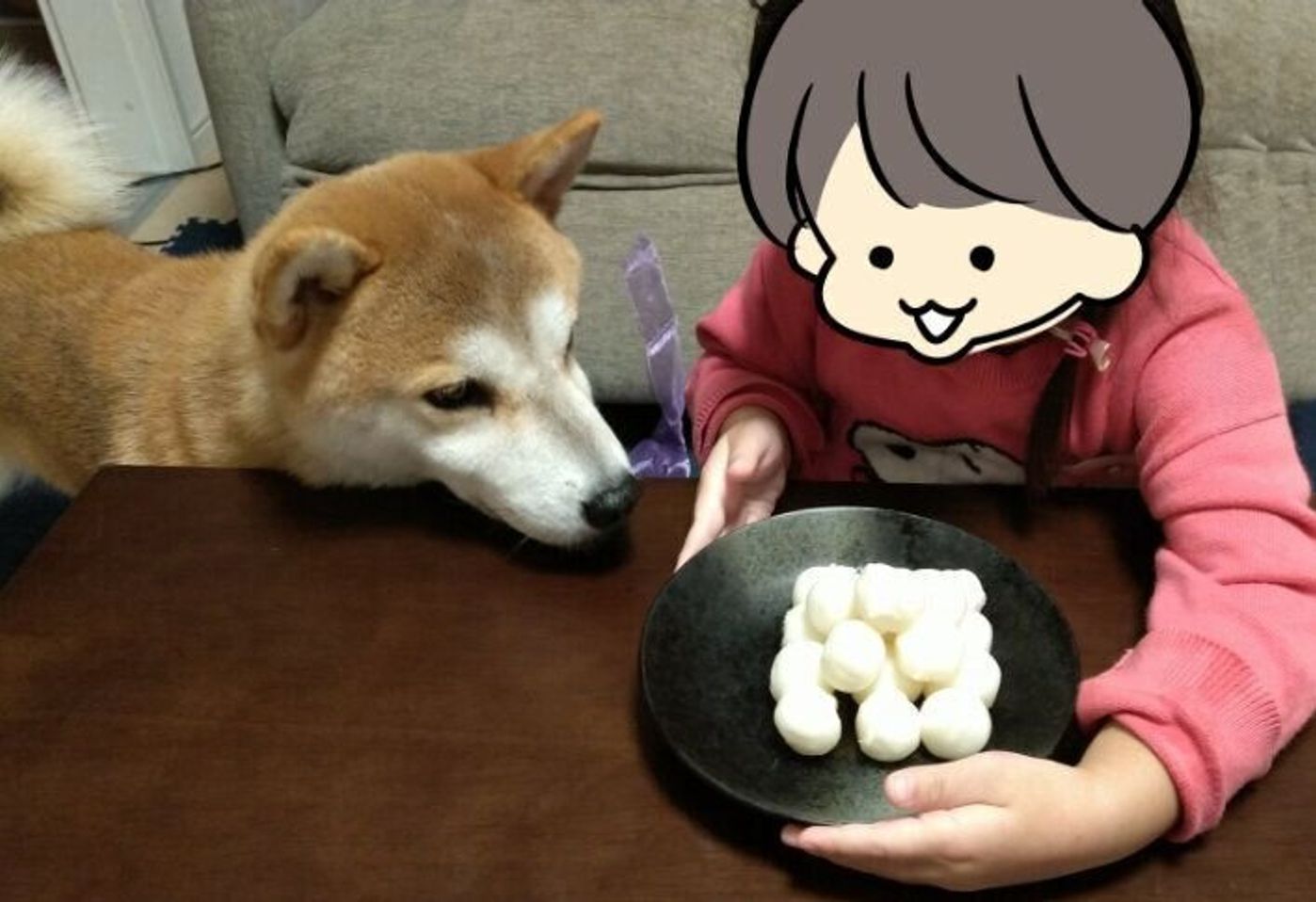 柴犬タロさん 食べ物が目の前にあっても空気を読んで セルフ待て 状態 連載 モフモフ柴とプニプニ娘 第92話 いぬのきもちweb Magazine 柴犬タロさん 食べ物が目の前にあっても空気を読んで セルフ待て 状態 連載 モフモフ柴とプニプニ娘 第92話 いぬのきもちweb Magazine