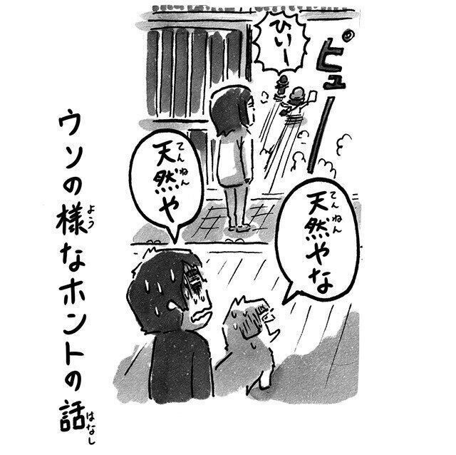 シーズー犬マンガてんぽshihtzu