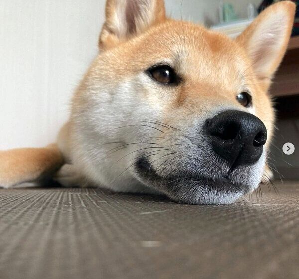 寝転がるいとさん