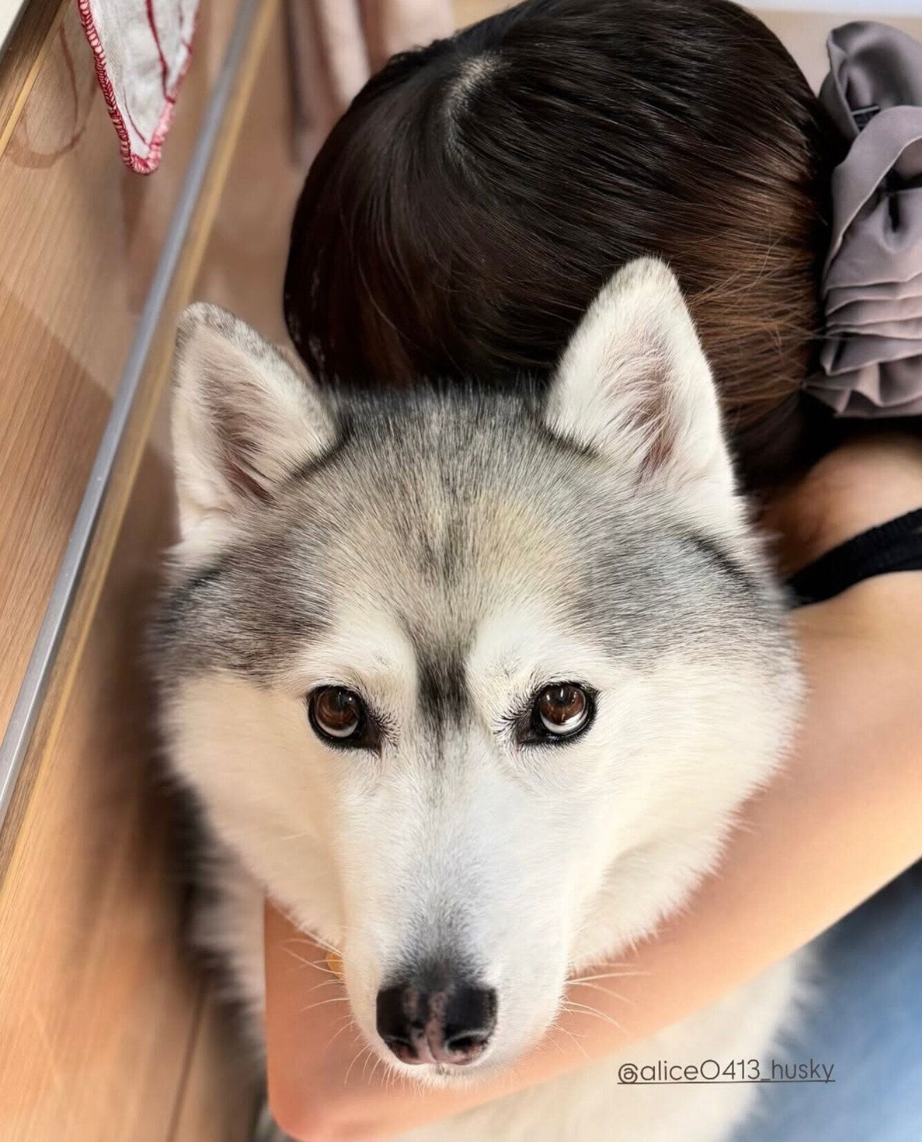 アリスちゃんで充電中のお姉ちゃん