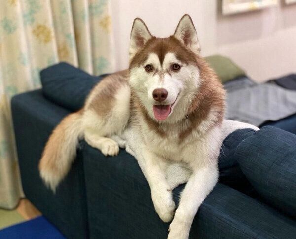 笑顔を見せるカルアちゃん