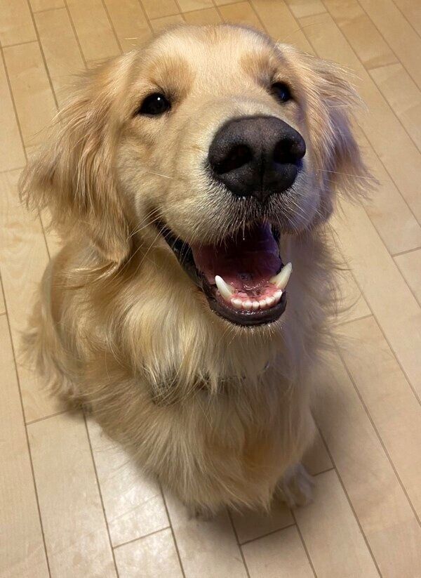 喜びを隠しきれないまるくん