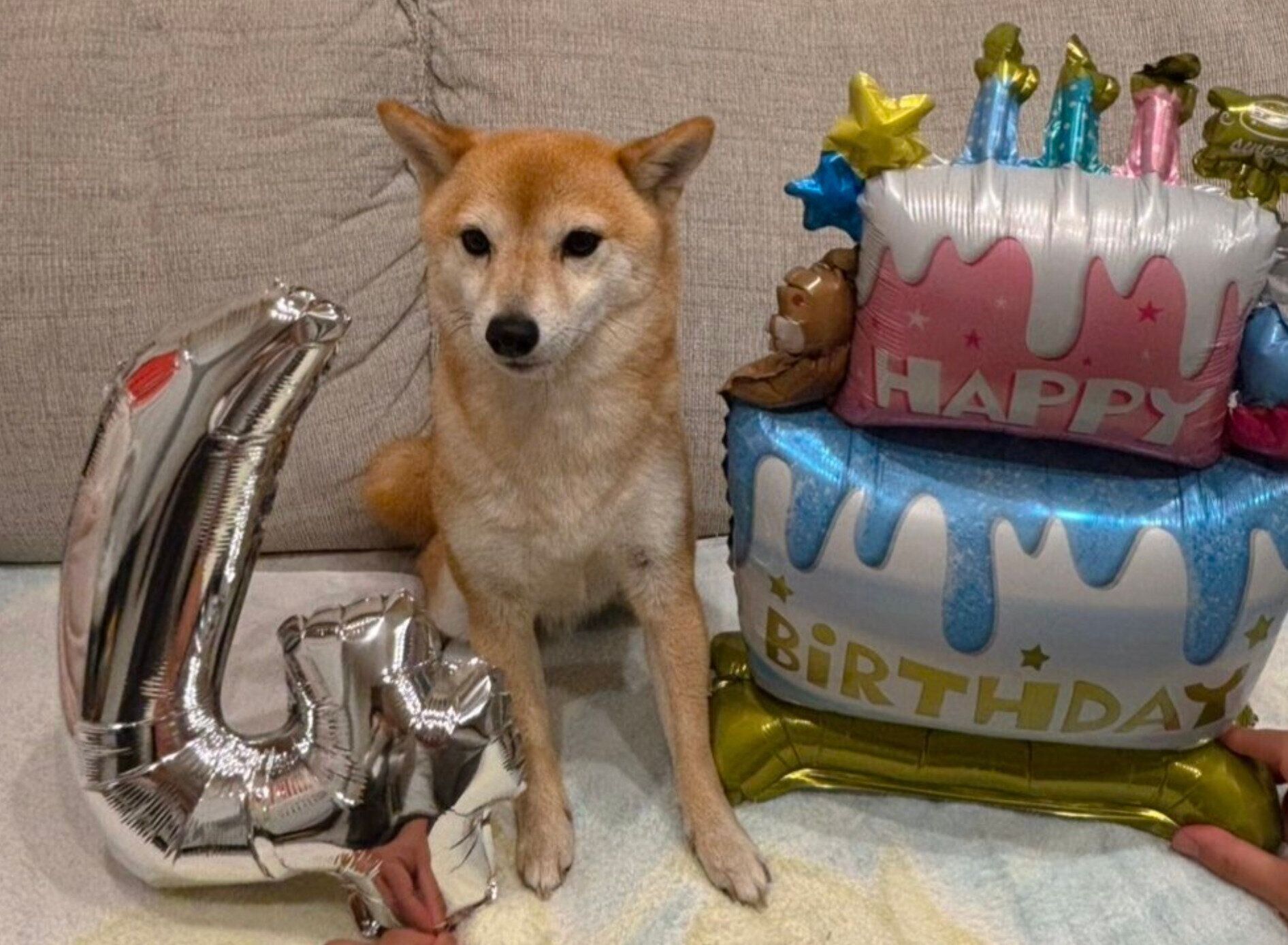 4才になったけんたくん