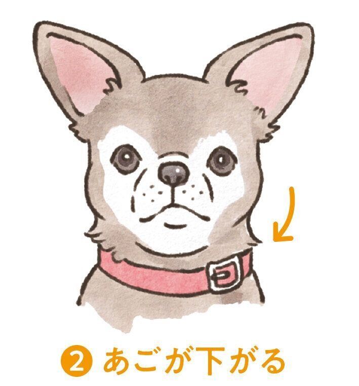 イラスト／フジマツミキ