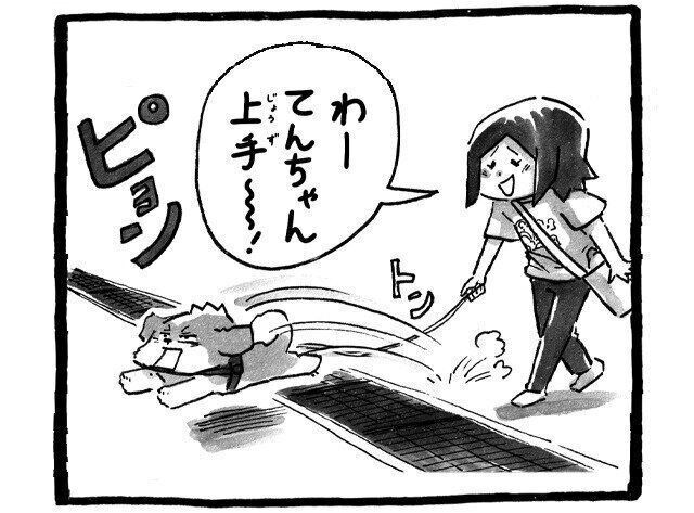 シーズー犬マンガてんぽshihtzu