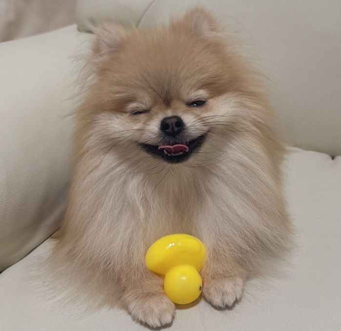 ニコッと笑うなごみちゃん