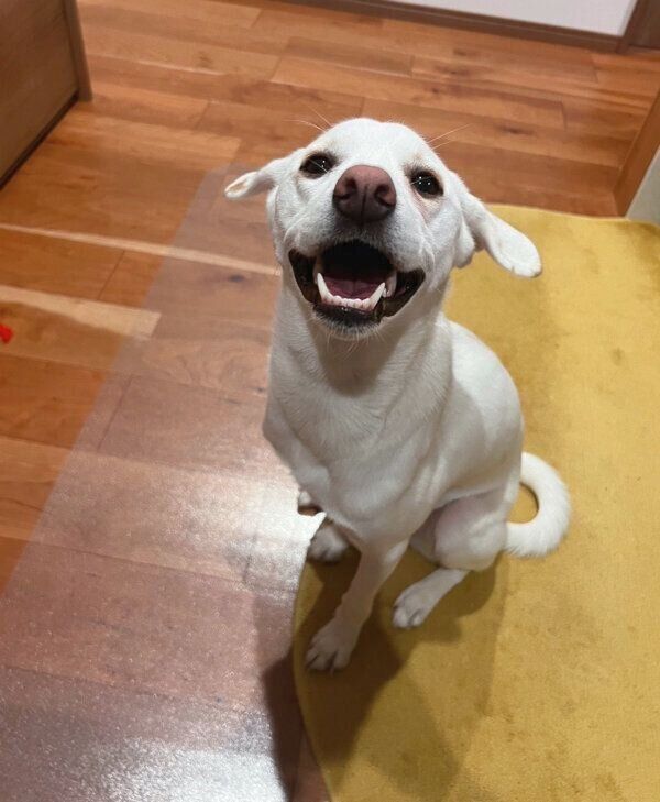 笑顔で見つめてくるこうめちゃん