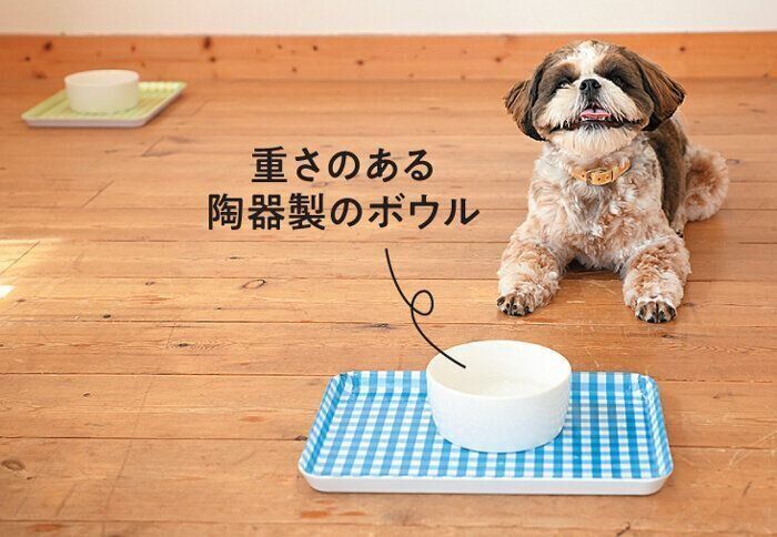 安定感のある水飲みボウルと犬