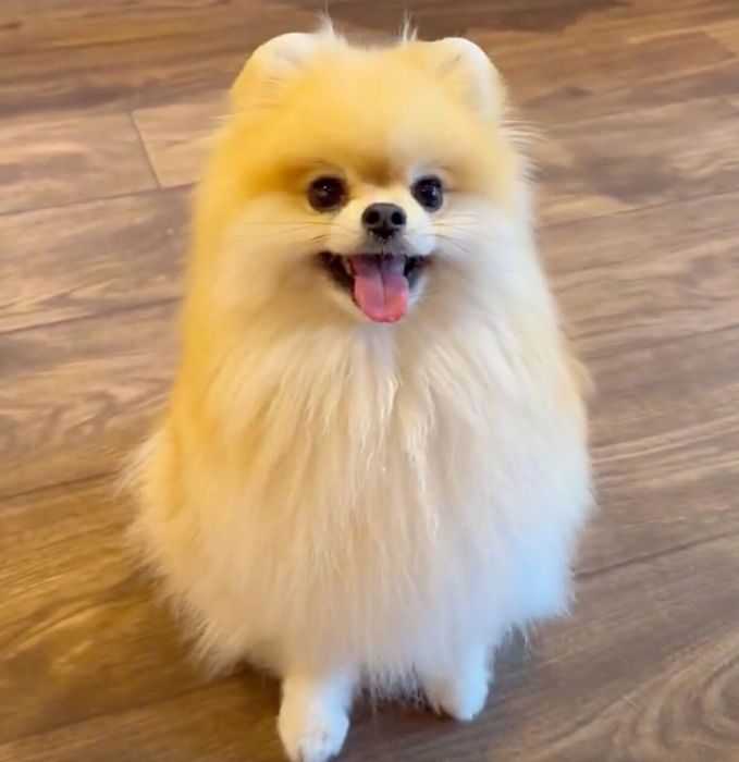 楽しそうなレオくん