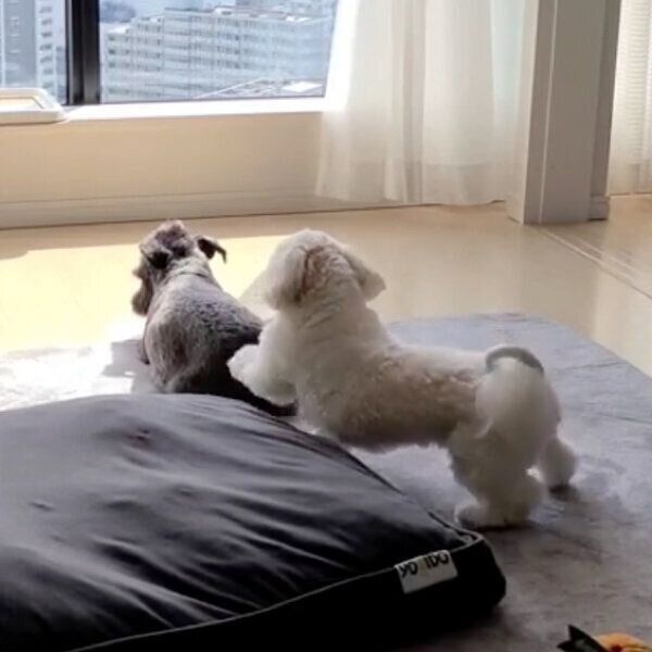 ゼオくんにイタズラをする水くん
