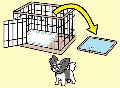 ケージ前にたたずむ犬