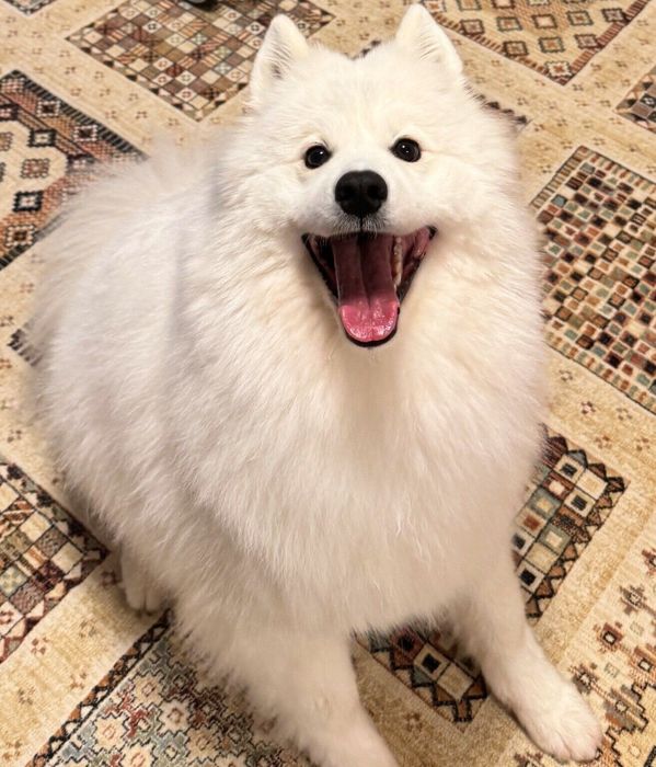 ニコッと笑うエルちゃん