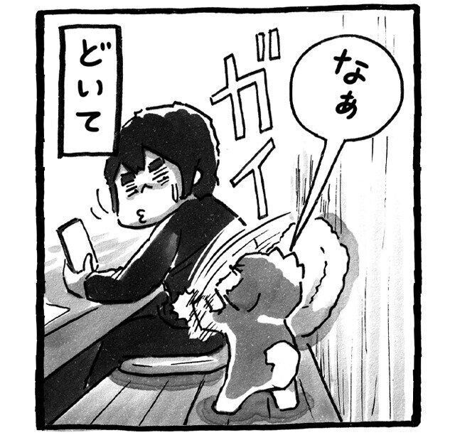 シーズー犬マンガてんぽshihtzu