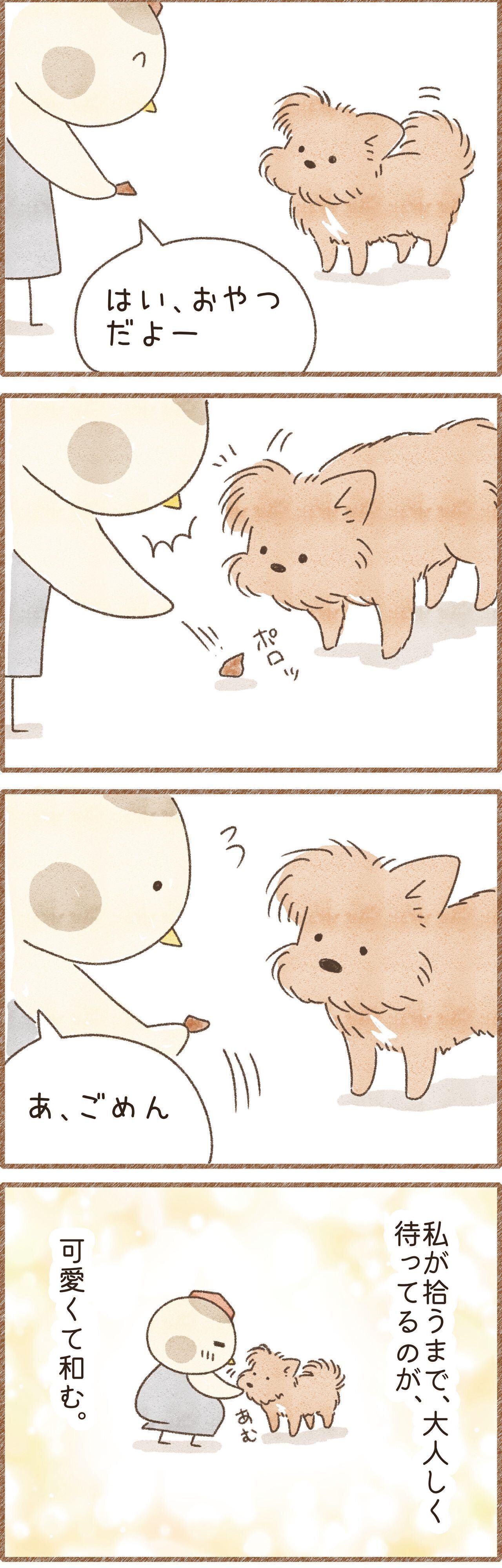 拾ってくれるのを待っている犬のマンガ