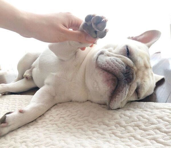 まったりする三郎くん