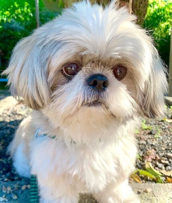 見つめるてんぽくん