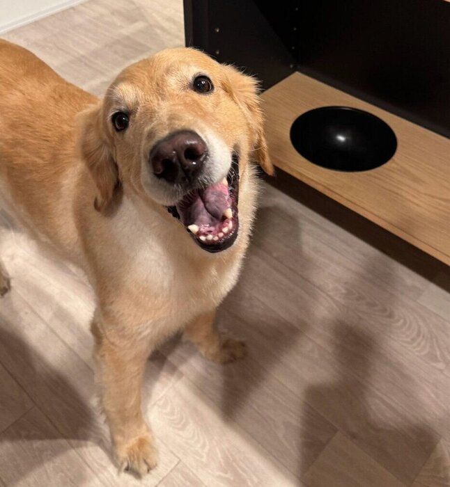 ゴハンを食べてニコニコ顔なゆずちゃん。