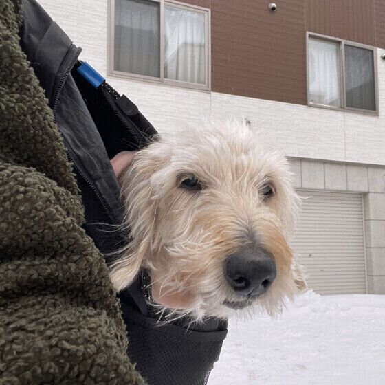 抱っこでお散歩中♪