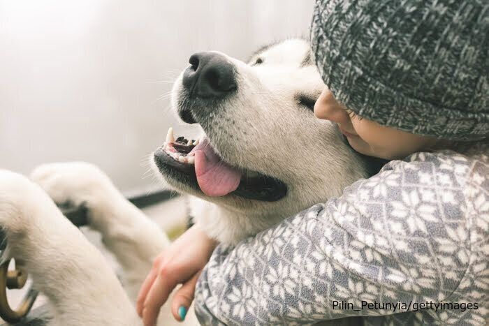 ハグされる犬