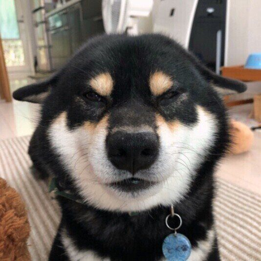 トクちゃん