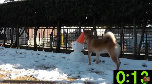 雪だるま