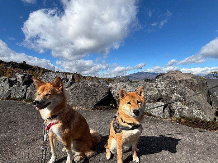 ���Ф�����ڤ���ʤΤ���󡢤ޤ������