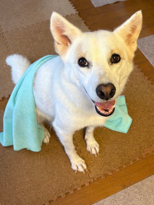 最近のらっちゃんの様子　“朝シャン”後に撮影された1枚