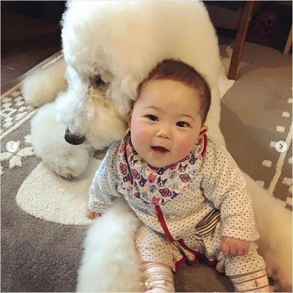 スタンダード・プードルと赤ちゃん