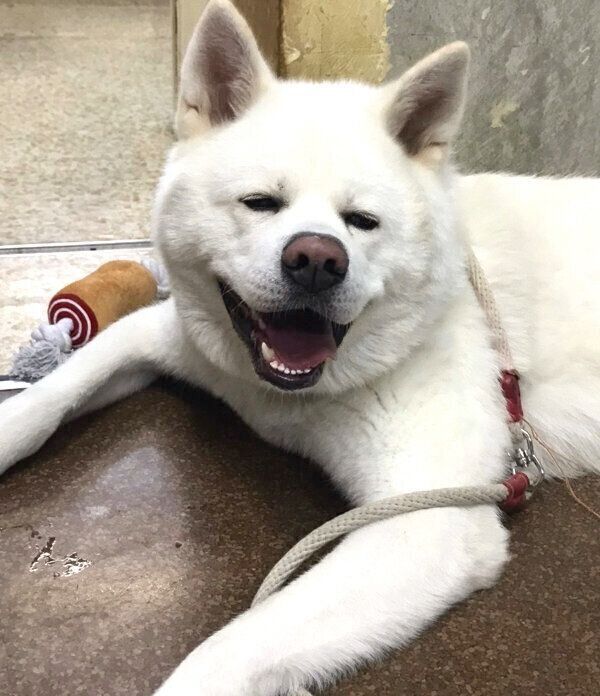 笑顔の心くん