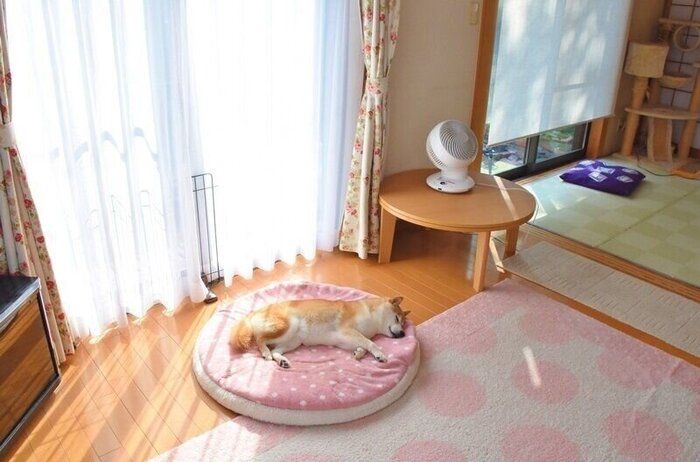 熱中症にもきをつけよう!
