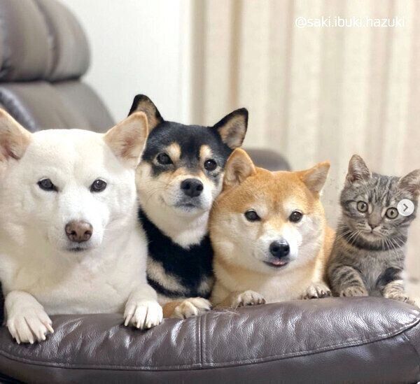 寄り添ういぶきちゃん、さきちゃん、はづきくん、キキくん