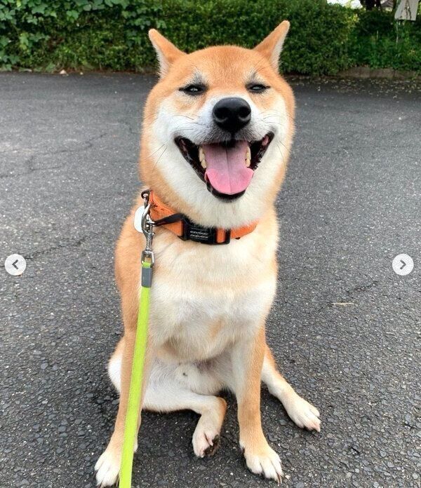 笑顔のさくちゃん