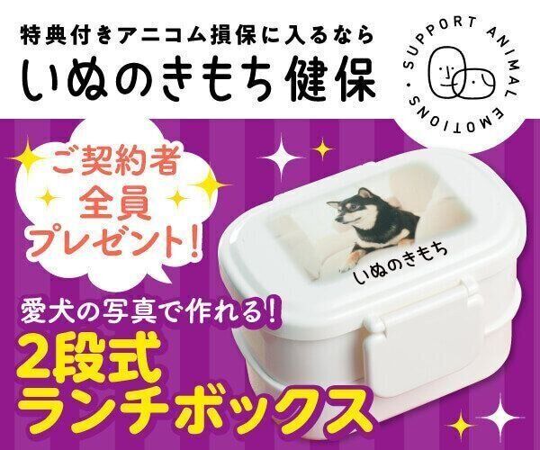 いぬのきもちweb Magazine もっと犬が好きになる いぬのきもちweb Magazine もっと犬が好きになる