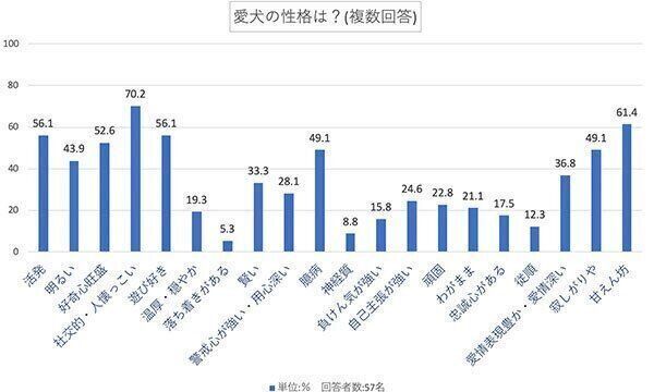 愛犬の性格は?