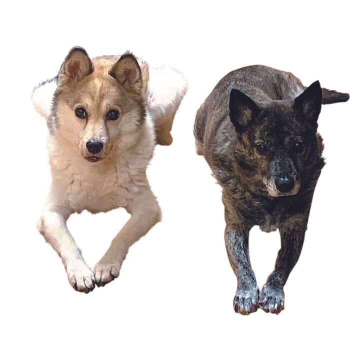 Ϥʥ᥹͡ˡΤʥ10͡ˤȤ˥ߥå