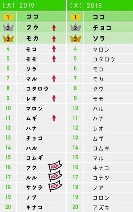 犬の名前ランキング(オス・メス総合)