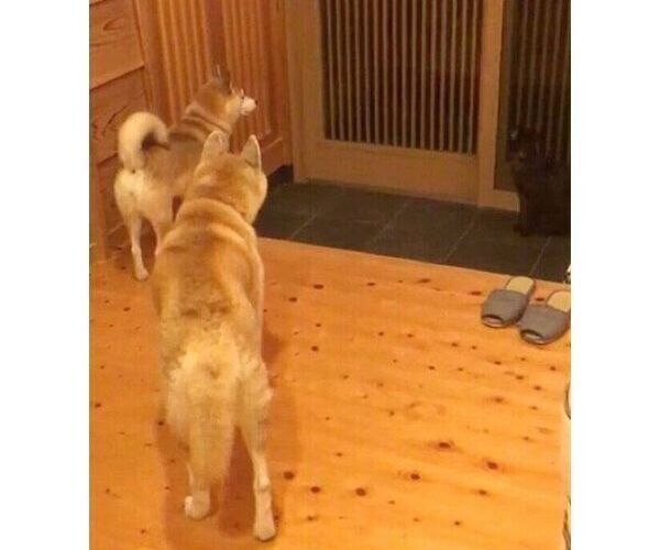 5r7pjjyhpk02pm 5r7pjjyhpk02pm