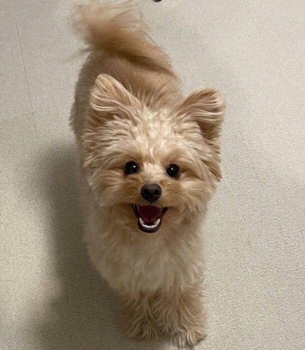 1才になったころもくん