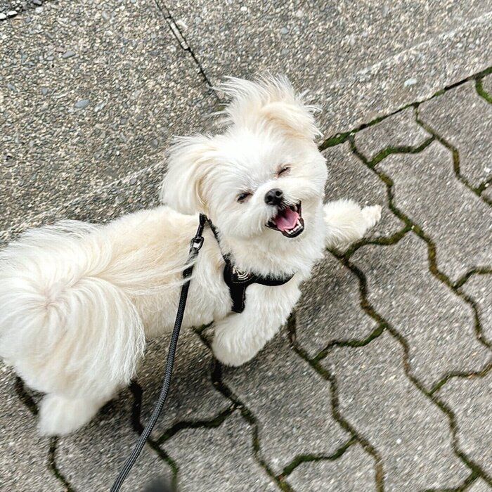 楽しそうなおこめちゃん ニコニコ“笑顔”がかわいすぎる