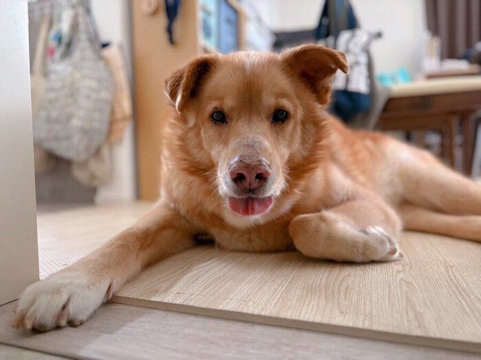 床の上に座り笑顔を見せるファーちゃん