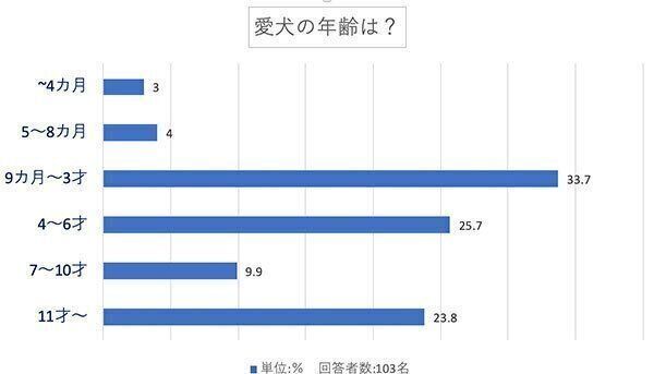 愛犬の年齢は?